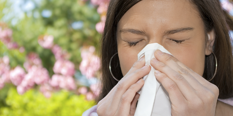 Allergische Rhinitis und Sommer