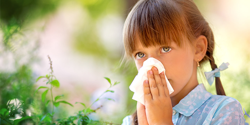 Çocuklarda Alerjik Rinit Ve Sonbahar